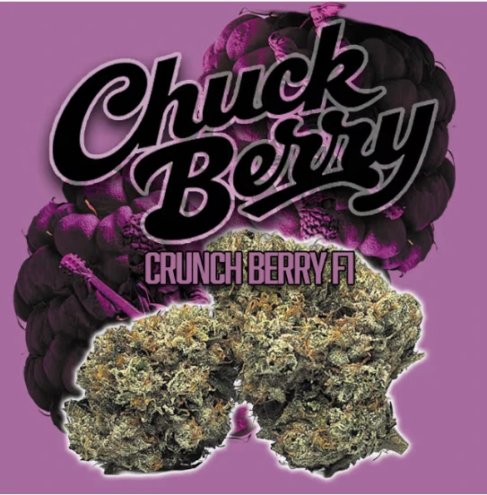 GREEN DRAGON - GREEN DRAGON - Flower - Chuck Berry - 3.5G Main Image