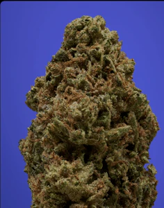 FLORETTE - Florette - Tahoe OG Kush - 3.5g - Flower