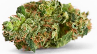 D48 Element Cultivation OG Kush Flower 3.5g