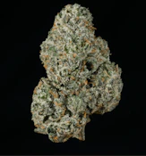 Herbarium | Runtz | 3.5g
