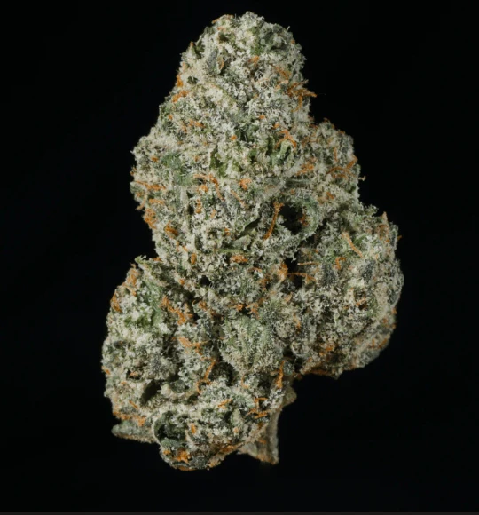 Herbarium - Herbarium | Runtz | 3.5g Main Image