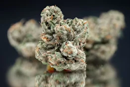 Nameless Genetics | Mega Wellness OG | 3.5G (h)