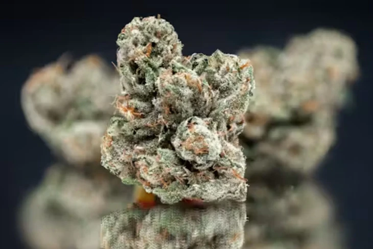 Nameless Genetics - Nameless Genetics | Mega Wellness OG | 3.5G (h) Main Image