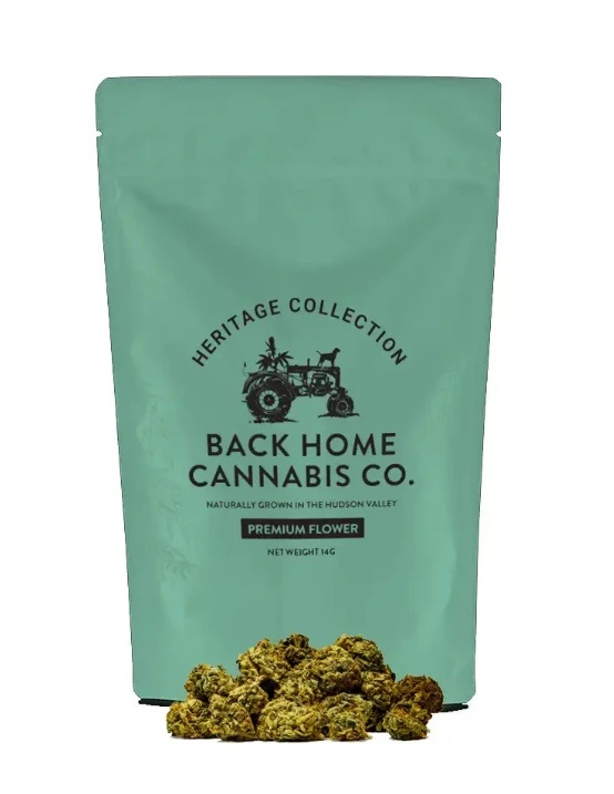 Back Home Cannabis Co. - Back Home Cannabis Company - Jack Herer - 14g - Flower Main Image