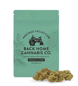 BACK HOME CANNABIS CO - Back Home Cannabis Company - Jack Herer - 3.5g - Flower