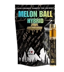 Melon Ball All-in-One - 1g - Vape