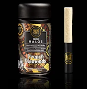 Maven - Preroll - Infused - 5pk - FKAFL