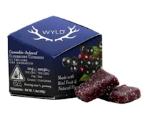 B18 WYLD Elderberry Gummies 10pk