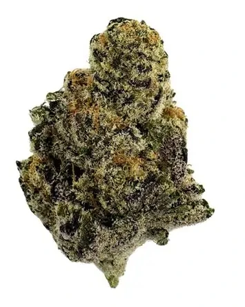 Rose Gold Greenhaus - Rose Gold | Cotton Candy | 3.5g (H) Main Image