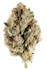 Product Preview Image 2