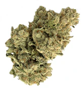 Rose Gold | Gorilla Glue | 3.5g (I)