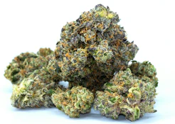Green Room | Brain Wash | 8g FLOWER |(I)