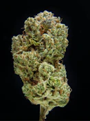 Green Room | Unicorn Glue | 8G FLOWER