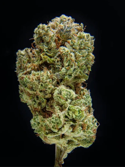 GREEN ROOOM'S - Green Room | Unicorn Glue | 8G FLOWER Main Image