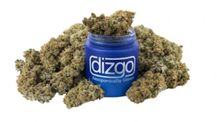 Orion | Prepacked | 3.5g | Dizgo | Flower
