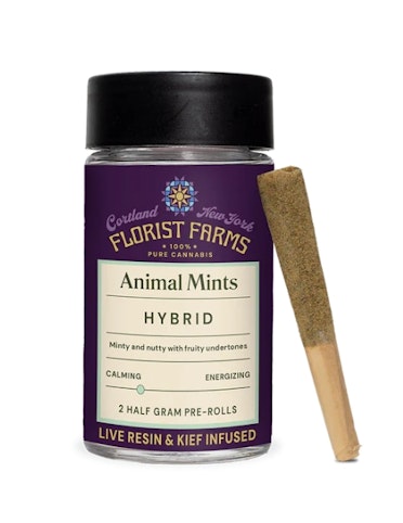 Florist Farms - Animal Mints -Hybrid- Live Resin & Kief Infused .5g 2pk (Pre-Rolls) | Florist Farms       -o10