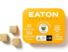 A52 Eaton Botanicals Mango Ginger Fixer Upper Gummies 20pk