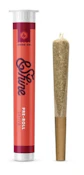 Jack's Delight- Single .75g- Pre-Roll- Shine (Sativa)