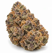 Glitter Bomb- Deli Flower | Float Cannabis