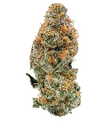 B42 Umamii Mendo Breath Flower 3.5g