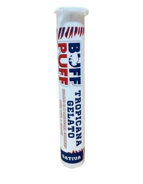 Buff Puff - C27 Buff Puff Tropicana Gelato Pre Roll 1g Main Image