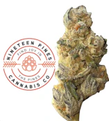 3.5g flower- Frostberry Fuel | Nineteen Pines Cannabis