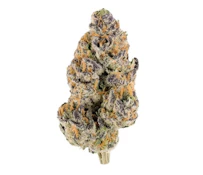Fight Club | Flower Case | Pre-Packed 3.5g (Campfire Cannabis)