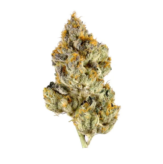 Campfire Cannabis - Soap | Flower Case | Pre-Packed 7g (Campfire Cannabis) Main Image