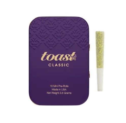 Toast - Durban Daydream -Sativa- 0.35g 5pk Classic (Pre-Roll) Minis | Toast     -oo3 BACK