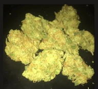 Gummi bears (3) 1 G Pre-Rolls