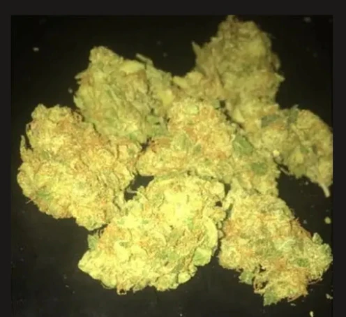Gummibears - Gummi bears (3) 1 G Pre-Rolls Main Image