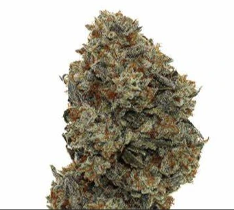 Rugged Roots -  Rugged Roots | Chemistry | 3.5g Main Image