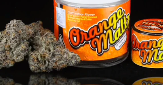 Shasta Flower - Shasta Flower Smalls 14g - Orange Maltz 31%