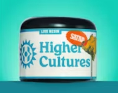 HIGHER CULTURE - LIVE Sugar - Sativa - Super Lemon Haze - 1g
