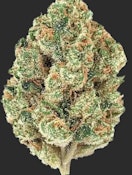 D49 Element Cultivation Sherb Belt Indica Flower 3.5g