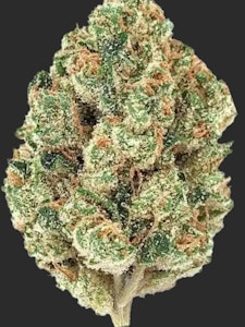 Element Cultivation - D49 Element Cultivation Sherb Belt Indica Flower 3.5g