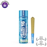 Blueberry Kush -Indica- 34.20% THC | New Quad-Infused 37.97% TAC (Pre-Roll) 1g | Jeeter      -ll4 MIDDLE