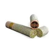 SOUR DIESEL x SOUR DIESEL LIVE RESIN INFUSED PREROLL - MFNY BAGELHOLE - 2.5g