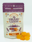 Peach Gummies- 100mg (10ct) - Grasslandz