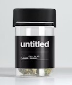 CANDYLAND - UNTITLED FLOWER - 7g