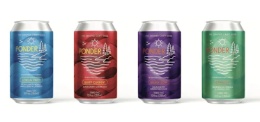 Ponder THC Soda 10MG THC