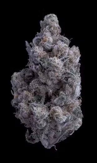 Sticky Status - Sticky Status | The One | 3.5g Main Image