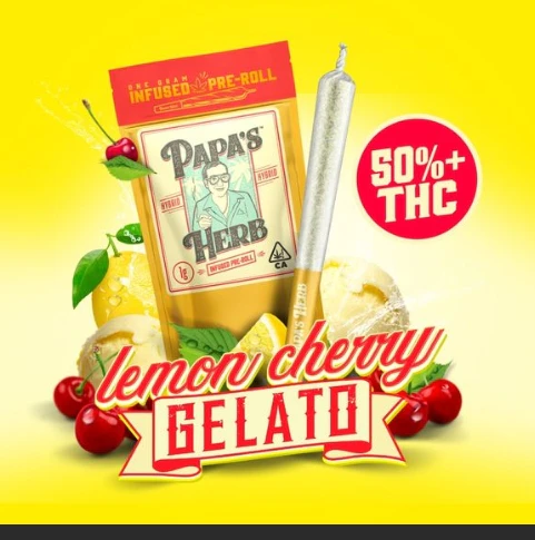 Papa's Herb - PAPAS HERB | LEMON CHERRY GELATO | Infused PREROLL 1G Main Image