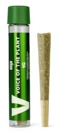 VOP - LEMON CHERRY SHERBERT PREROLL - VOP - 1g Main Image