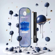 Midnight Berry 1G DISPOSABLE By dompen