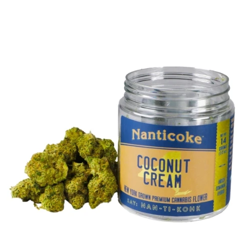 Nanticoke - Nanticoke - Coconut Cream - 14g - Flower Main Image
