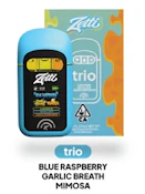 ZETTI | BLUE RASPBERRY | AIO | 2g SATIVA