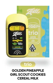 ZETTI - ZETTI | GOLDEN PINEAPPLE | AIO | 2G HYBRID Main Image