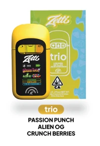 ZETTI - ZETTI |PASSION PUNCH | AIO | 2G INDICA Main Image