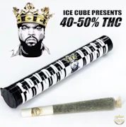 Caviar Gold - Preroll - Fryday - 1.5g